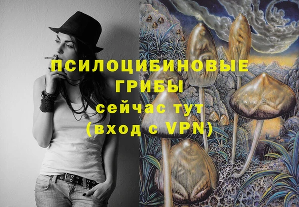 СК Абдулино