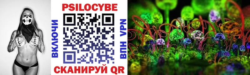 блэк спрут онион  Райчихинск  Галлюциногенные грибы MAGIC MUSHROOMS 